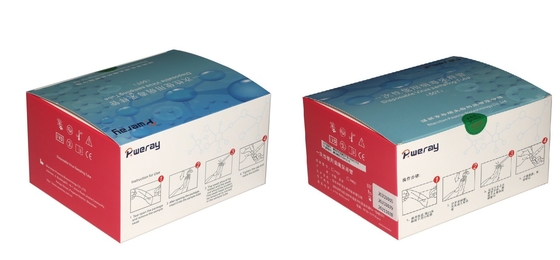 Забор вируса набора теста 3ML устранимый VTM для Covid-19